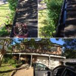 Gutter cleaning at Eastwood